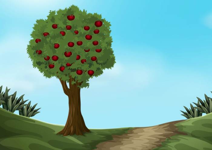 Яблоня с яблоками, рисунок картинка