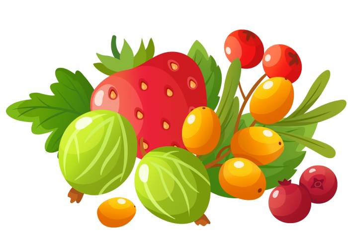 Ягоды, ягодный микс, рисунок картинка клипарт
