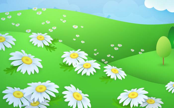 Поле с ромашками, ромашки цветут в поле, рисунок картинка