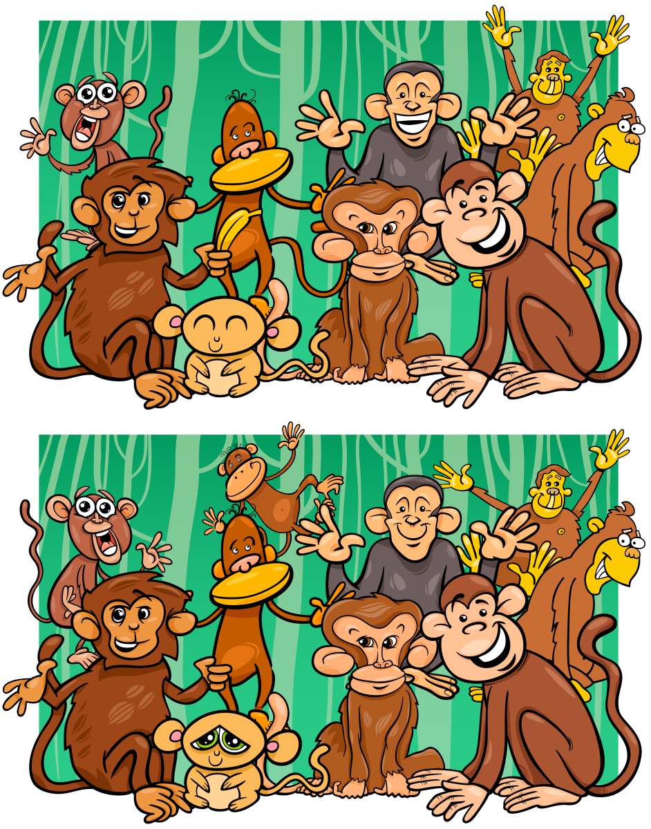 Найди отличия обезьяны