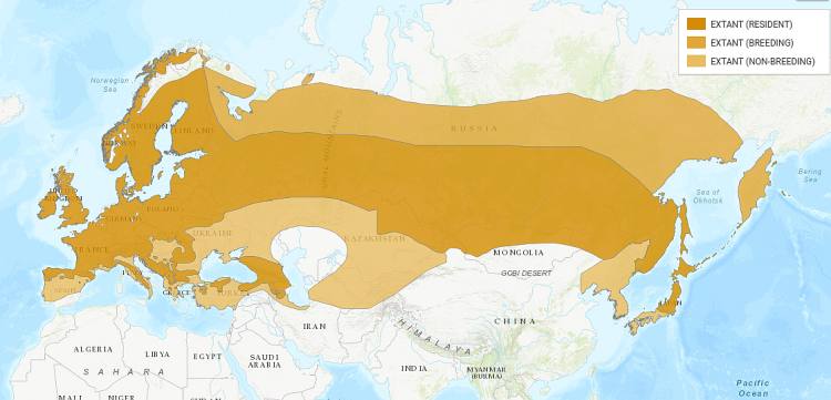 Евросибирский обыкновенный снегирь (Pyrrhula pyrrhula pyrrhula), карта схема ареал распространение