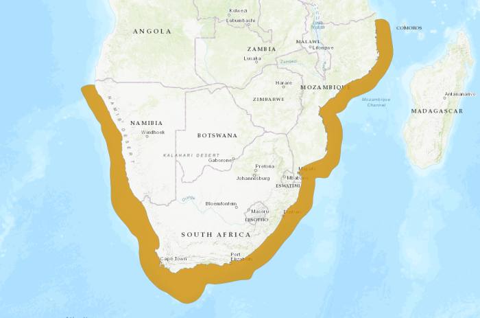 Южноафриканский солнечник (Zeus capensis), ареал карта распространение