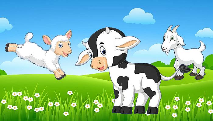 Ягненок, теленок и козленок резвятся на лугу, рисунок картинка иллюстрация