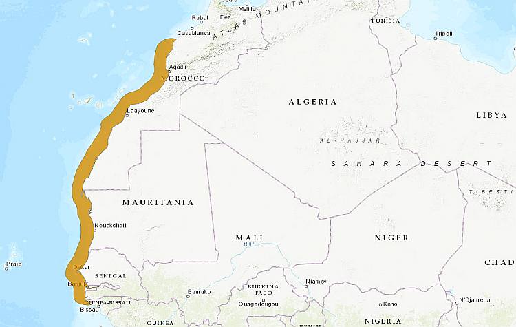 Сенегальский хек мерлуза (Merluccius senegalensis), ареал карта схема распространения