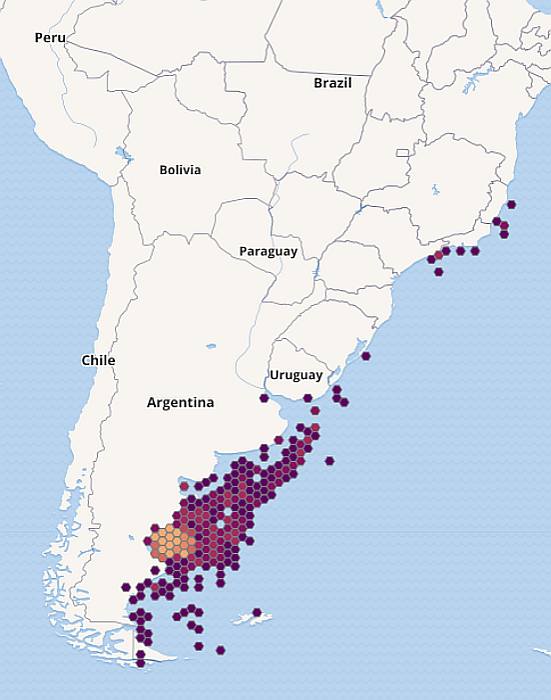 Аргентинская мерлуза, или патагонский хек (Merluccius hubbsi), ареал карта схема распространения