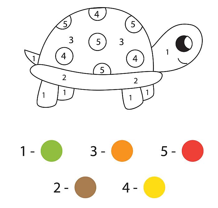 Раскраска по цифрам для детей малышей 3-5 лет, черепашка черепаха