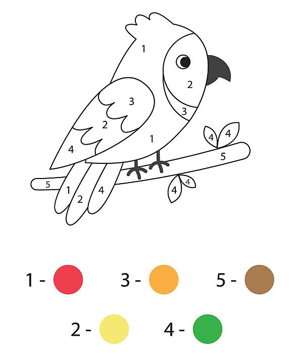 Раскраска по цифрам для детей малышей 3-5 лет, попугай попугайчик