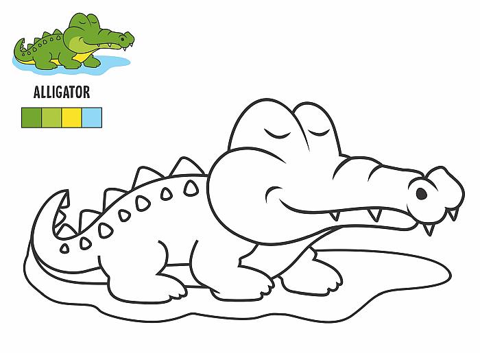 Цветная раскраска для детей малышей 4-5 лет, крокодил крокодильчик