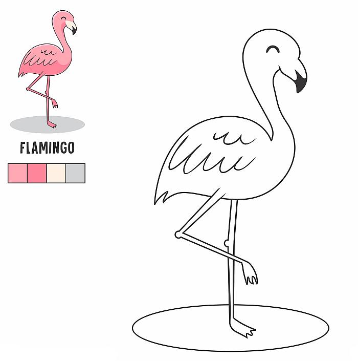 Цветная раскраска с примером для детей ребят 4-5 лет, фламинго