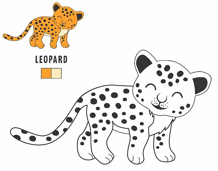 Цветная раскраска для детей малышей 4-5 лет, леопард гепард
