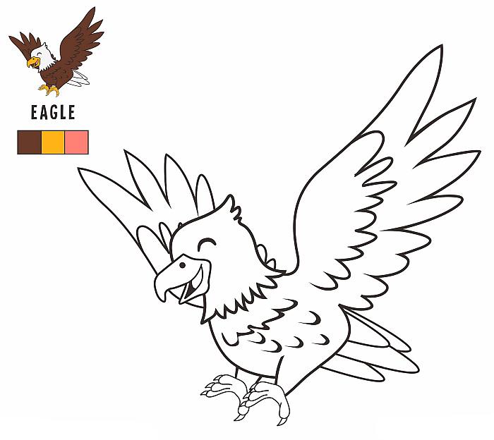 Цветная раскраска с примером раскрашивания для детей малышей 4-5 лет, орел орлан