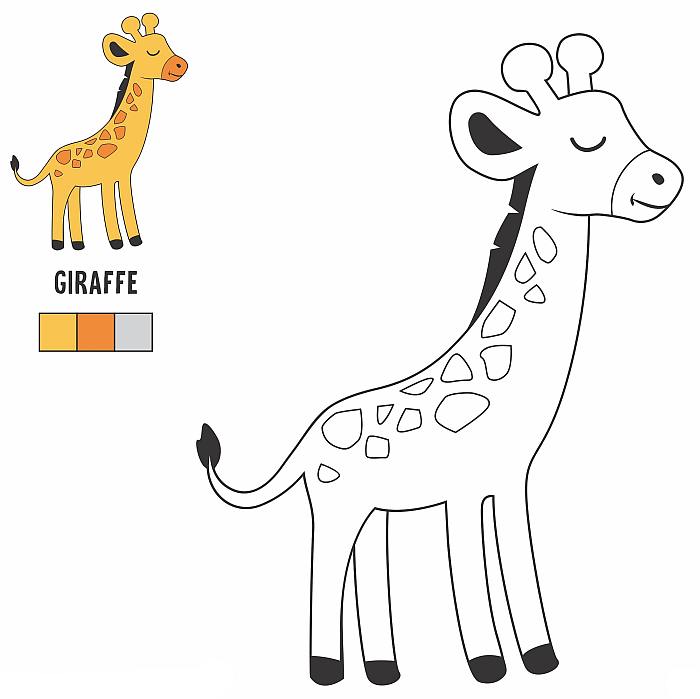 Цветная раскраска для детей малышей 4-5 лет, жираф жирафчик