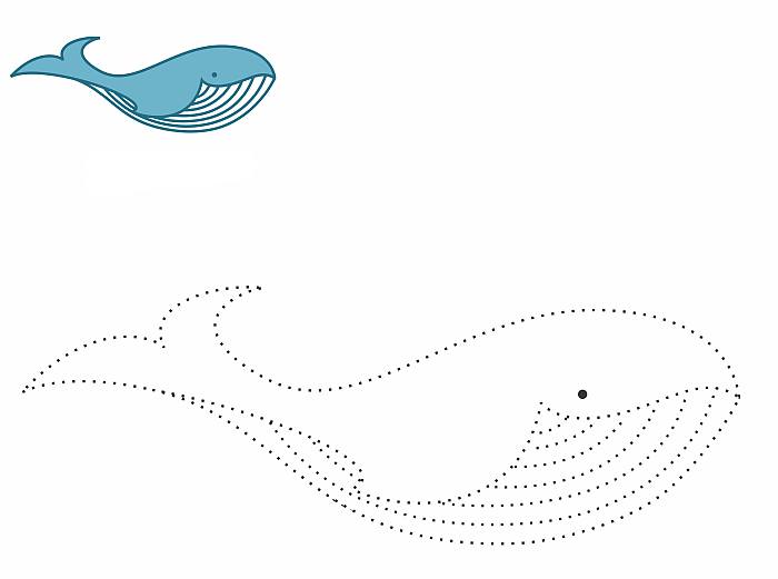 Раскраска Обведи по контуру и раскрась для ребят 5-7 лет, животное кит