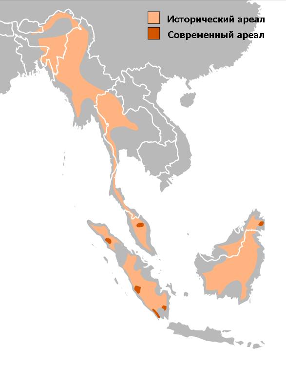 Суматранский носорог (лат. Dicerorhinus sumatrensis), ареал карта распространение