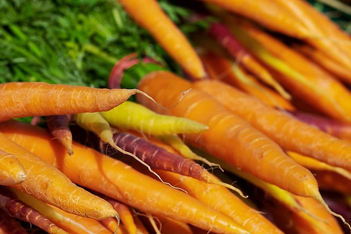 Морковь, корнеплоды морковка, фото фотография