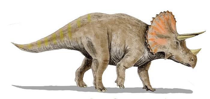 Динозавр трицератопс, рисунок картинка реконстркция, вымершие животные