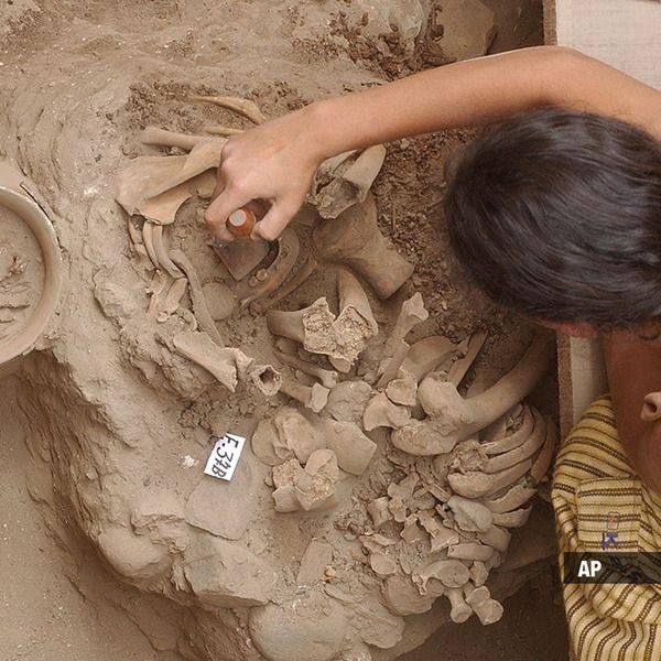 Раскопки в Перу, фото фотография беспозвоночные