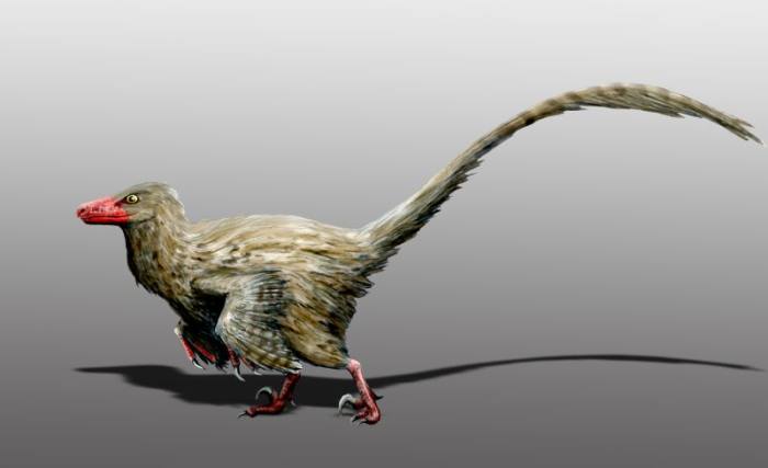 Динозавр Hesperonychus elizabethae, реконструкция, рисунок картинка вымершие животные