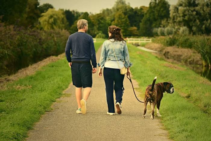 Мужчина, женщина и собака гуляют вместе, фото фотография питомцы