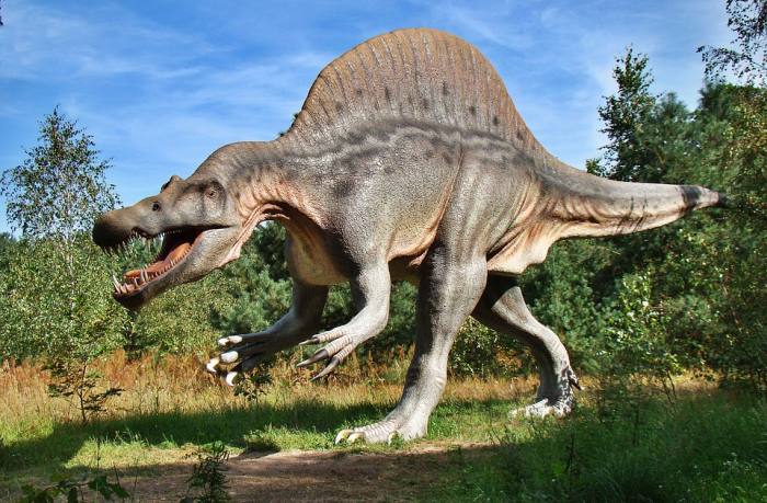 Спинозавр, реконструкция, фото фотография динозавры