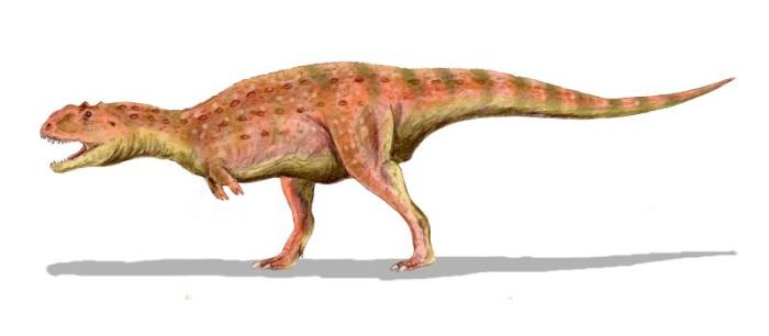 Майюнгазавр (Majungatholus atopus), фото фотография динозавр