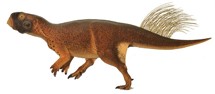 Пситтакозавр (Psittacosaurus), реконструкция, рисунок картинка, вымершие животные