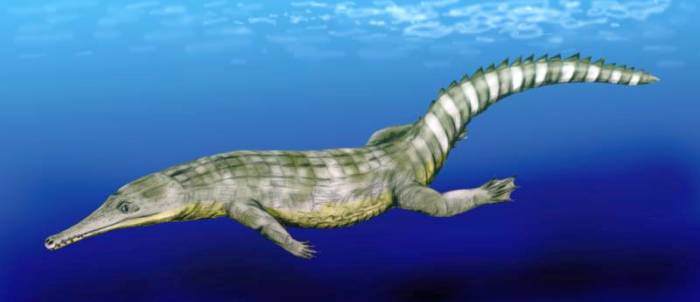 Морской крокодил (Guarinisuchus munizi), картинка рисунок реконструкция, вымершие животные