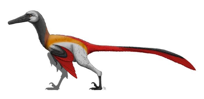Ящер (Neuquenraptor argentinus), реконструкция, рисунок картинка, вымершие животные