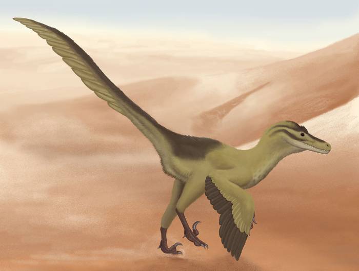 Линьхэраптор (Linheraptor exquisitus), рисунок картинка реконструкция