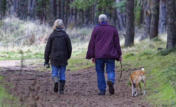 Пожилая пара гуляет по лесу с собакой, фото фотография