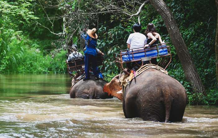 Азиатский слон с наездниками, фото животные фотография