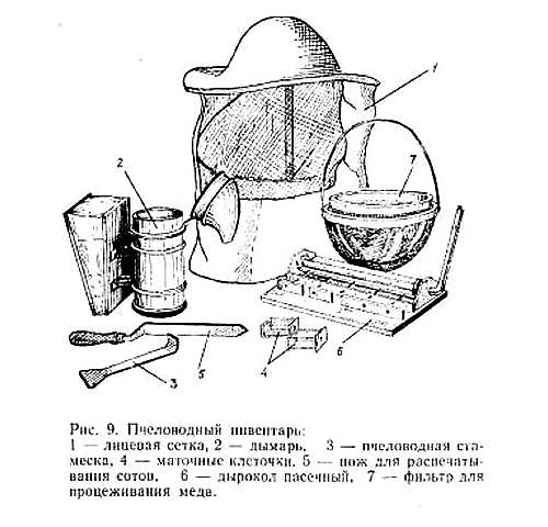 Пчеловодный инвертарь, картинка рисунок
