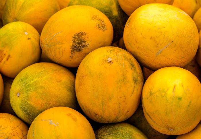 Спелые желтые дыни, фото фотография фрукты