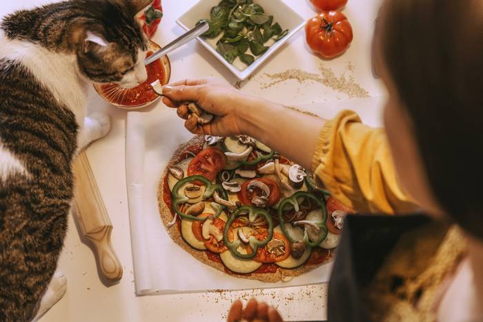 Женщина предлагает кошке кусочек еды, фото фотография картинка