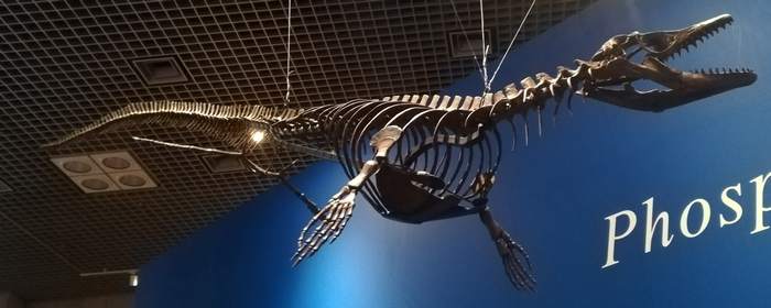 Морская рептилия мелового периода (Phosphorosaurus ponpetelegans), фотографии фото ящеры