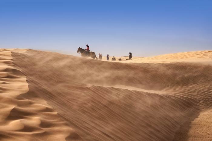 Лошади бредут по пустыне, фото фотография