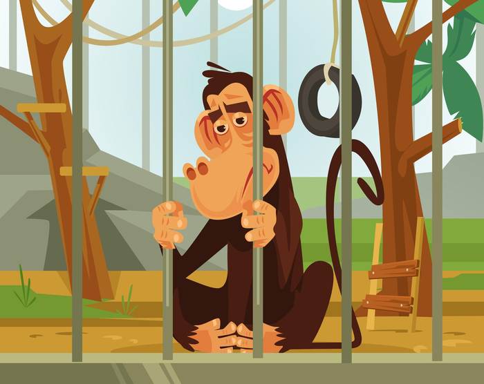 Грустная обезьяна сидит в клетке в зоопарке, рисунок картинка смешной клипарт