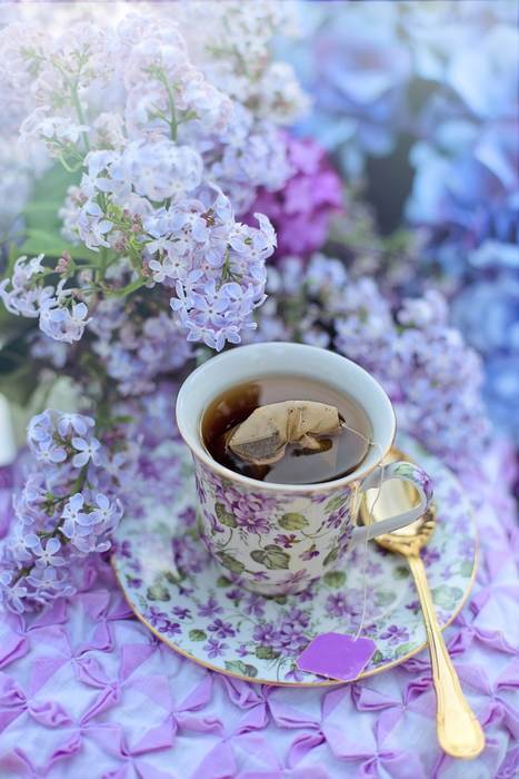 Чай с цветами сирени, фото фотография кусты растения