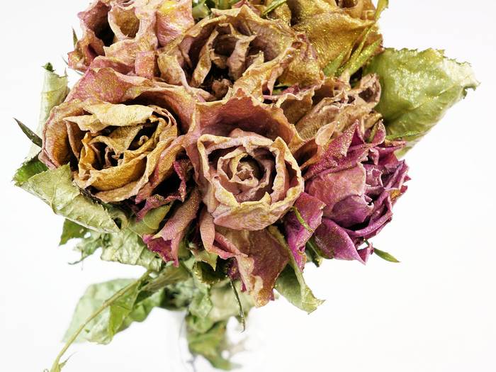 Засохший букет роз, сухие цветы, фото фотография 