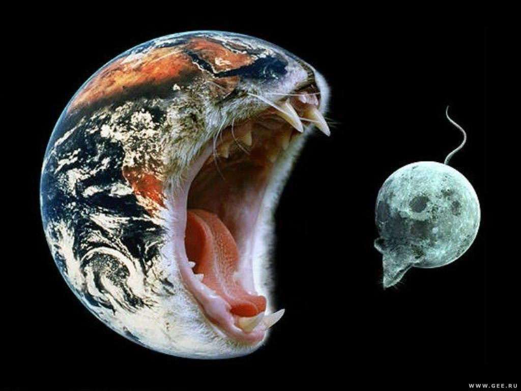 Кошка-планета пытается съесть мышь-луну, прикольное фото смешная картинка