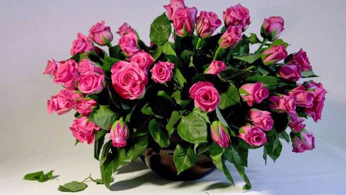 Букет розовых роз, фото фотография картинка