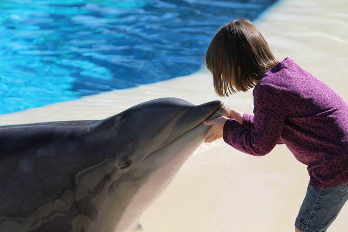 Дельфин и  девочка, фото морские млекопитающие фотография 