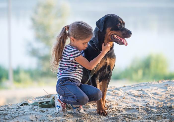 Ротвейлер и девочка, фото фотография собаки