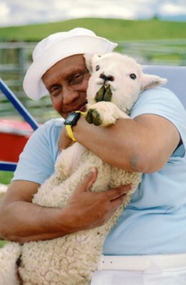 Индийский атлет и деятель культуры Шри Чинмой с овечкой на руках, фото фотография