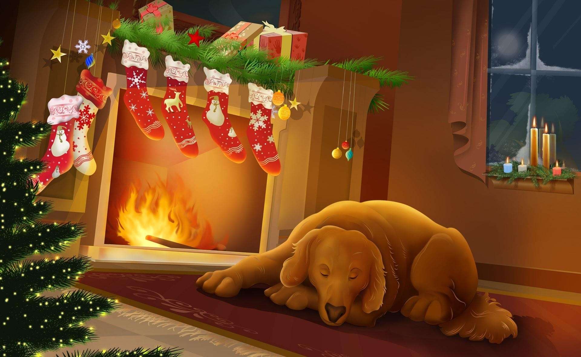 Собака, спящая у камина с новогодними носками для подарков, фото фотография картинка обои