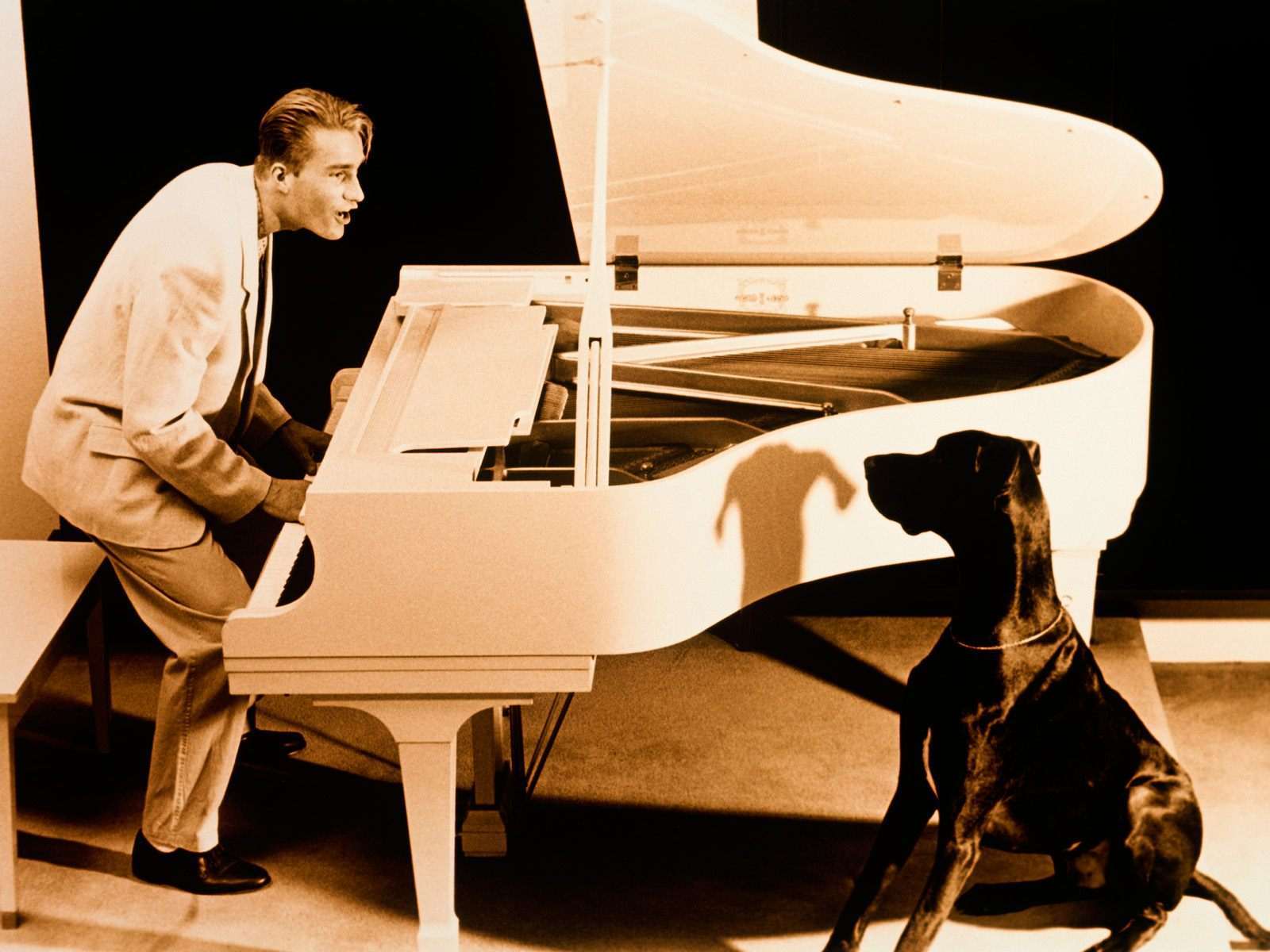 Пианист и немецкий дог, фото фотография картинка обои 