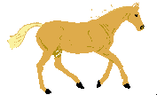 бегущая лошадь, анимашка