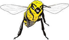 пчела, клипарт