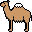 верблюд иконка, icon