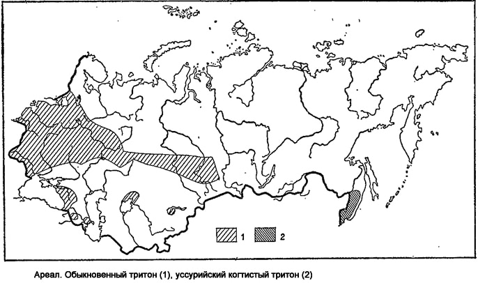 Ареал уссурийского углозуба (Onychodactylus fischeri), схема карта картинка амфибии